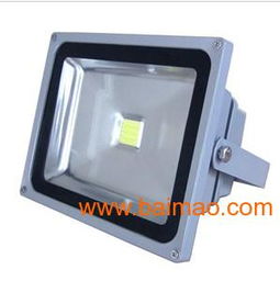 12v大功率led投光灯 30w ,12v大功率led投光灯 30w 生产厂家,12v大功率led投光灯 30w 价格